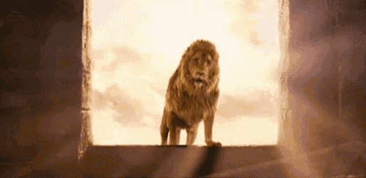 Aslan Lion GIF