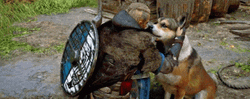 Assassin's Creed Valhalla Petting Dog GIF