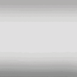 Assorted Fila Sneaker GIF