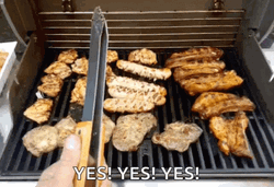 Assorted Yummy Bbq Grilling GIF