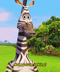 Astonished Animated Zebra Now We're Talking  GIF