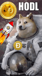 Astronaut Shiba Inu Hodl GIF