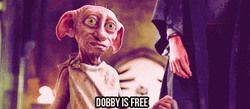 At Last Dobby Is Free GIF