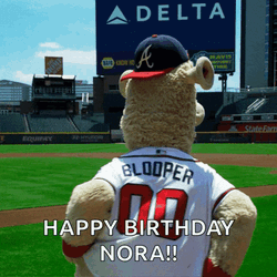 Atlanta Braves Blooper GIF