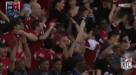 Atlanta Falcons Fans Going Wild In Crowd GIF