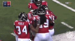 Atlanta Falcons Pride Of Georgia GIF