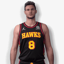 Atlanta Hawks Danilo Gallinari Noice GIF