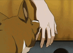 Atsumu Miya Dog Lick GIF