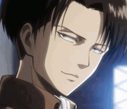 Attack On Titan Levi Deal With It