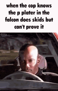 Au Falcon P Plater GIF