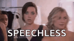 Aubrey Plaza Is Speechless GIF