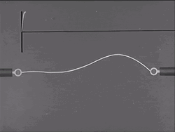 Audio Sound Wave Lines GIF