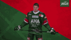 Augsburger Panther Elishockey GIF