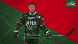 Augsburger Panther Full Down Ice Hockey  GIF