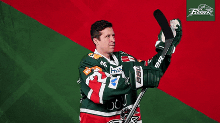 Augsburger Panther Ice Hockey Clapping GIF