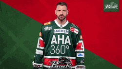Augsburger Panther Ice Hockey Cuteness Aggression GIF