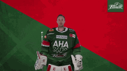 Augsburger Panther Ice Hockey Flying Kiss GIF