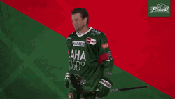 Augsburger Panther Ice Hockey Good Job GIF