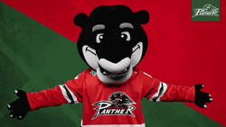 Augsburger Panther Ice Hockey Mascot Cover Eyes GIF