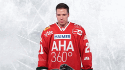 Augsburger Panther Shine Ice Hockey GIF