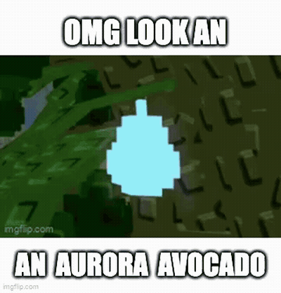 Aurora Avocado In Minecraft GIF