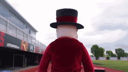 Austin Hays The Austin Peay Masot GIF