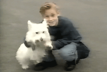 Austin Hays Young Ryan Gosling GIF