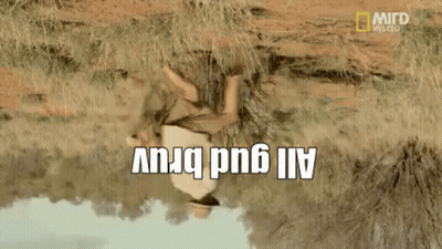 Australia Austrlain GIF