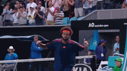 Australian Open JoWilfried Tsonga Wild Celebration GIF