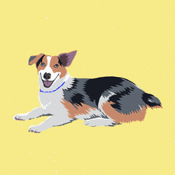Australian Wiggle Dancing Dog GIF