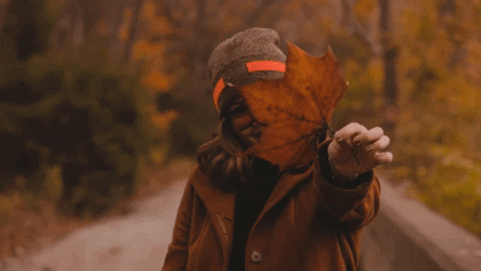Autum Dried Leaf GIF