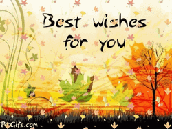 Autumn Best Wishes For You  GIF