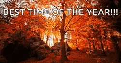 Autumn Falls Best Time Of The Year GIF
