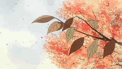 Autumn Falls Brown Leaves Falling  GIF