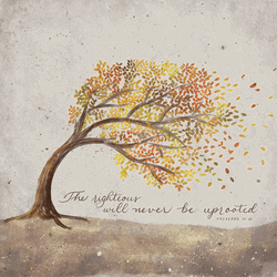Autumn Falls Season Bible Verse GIF