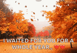 Autumn Falls Starbucks Pumpkin Spice Latte  GIF
