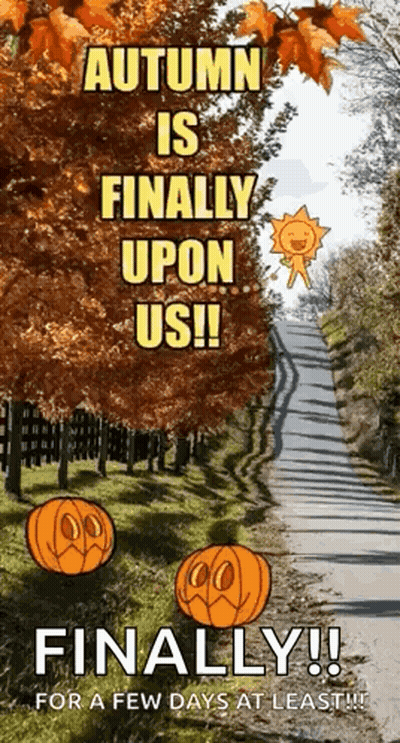 Autumn Is Finally Upon Us GIF