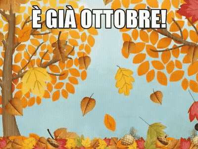 Autumn Leaves Falling E Gia Ottobre GIF