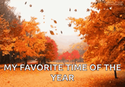 Autumn Leaves Falling From Trees In A Park With The Words " My Favorite Time Of The Year " GIF
