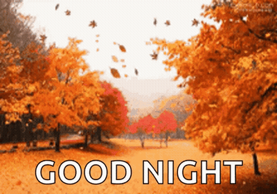 Autumn Leaves Falling Good Night GIF