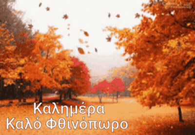 Autumn Leaves Falling In Park GIF