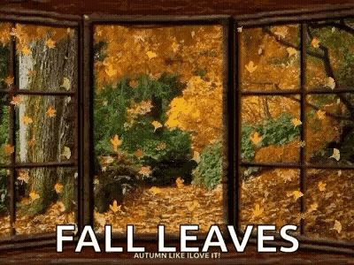 Autumn Leaves Falling Out A Window Saying Fall Leaves Autumn Like I Love It GIF
