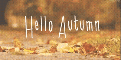 Autumn Leaves Falling Saying Hello Autumn GIF