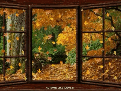 Autumn Leaves Falling With I Love It GIF