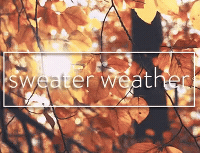 Autumn Leaves Sweater Weather GIF