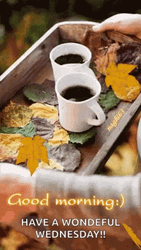 Autumn Morning Wednesday Two Cups Of Coffee GIF