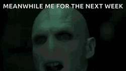 Avada Kedavra Meanwhile For The Next Week GIF
