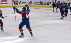 Avalanche Celebration GIF