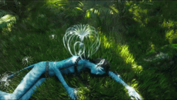 Avatar 2 Lying On The Ground Kiri GIF