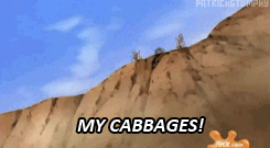 Avatar The Last Airbender My Cabbages Meme